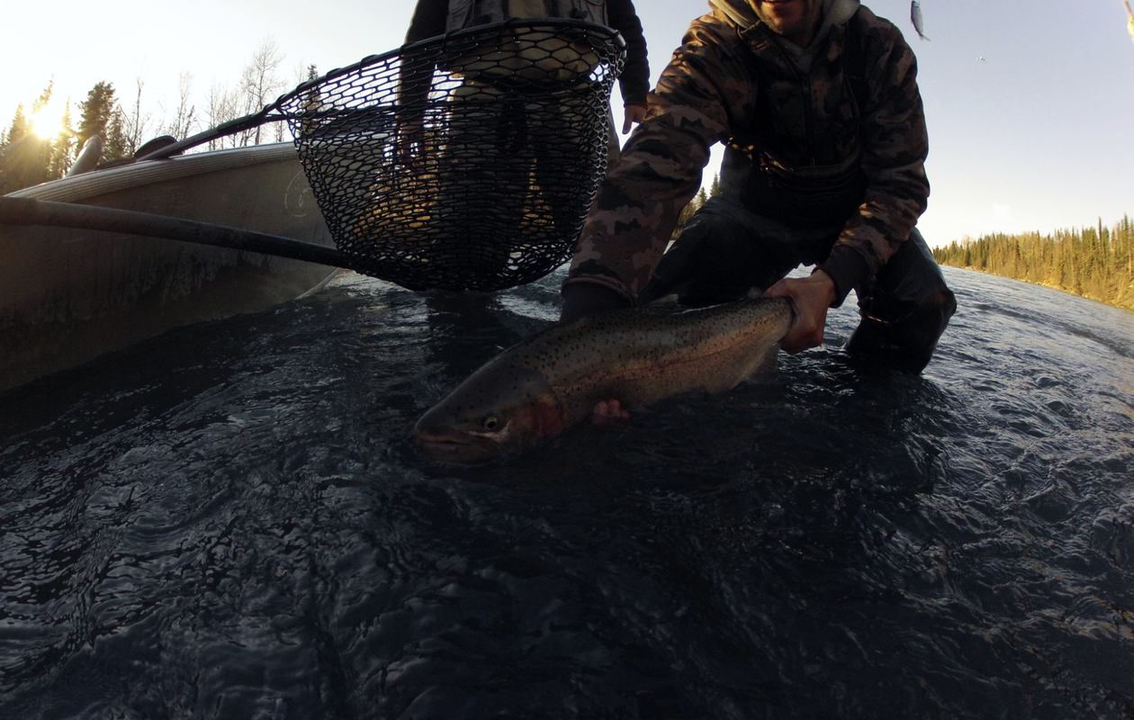 Middle Kenai River (Full Day) Private Boat - TROUT